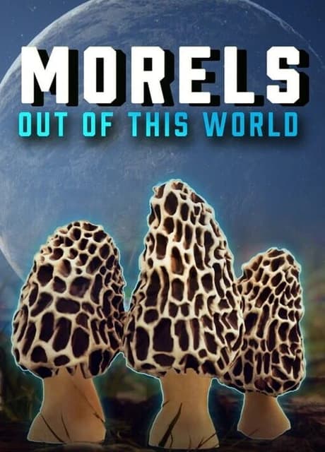 Morels: Out of this World