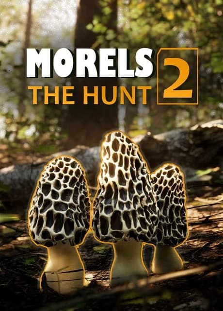 Morels: The Hunt 2