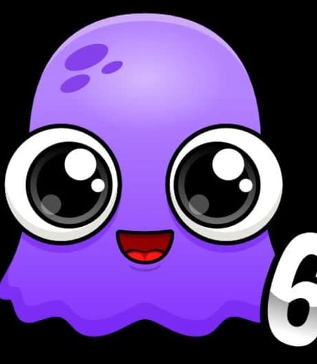 Moy 6