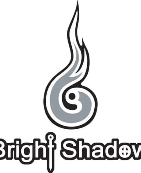 Mr. Shadow