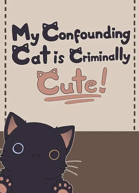 My Confounding Cat is Criminally Cute!