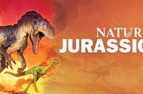 Nature Jurassic Module
