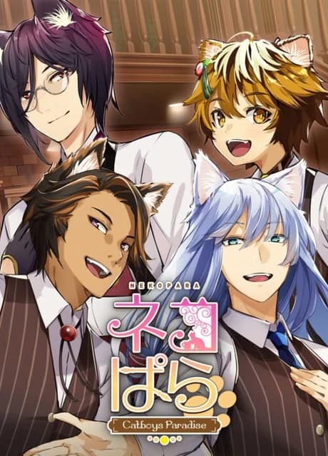 Nekopara: Catboys Paradise