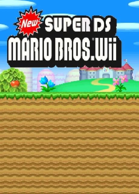 New Super Mario Bros. Wii DS