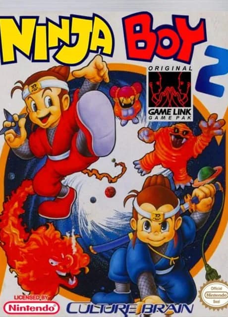 Ninja Boy 2