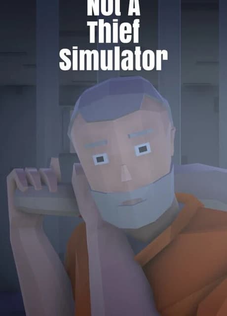 Not A Thief Simulator