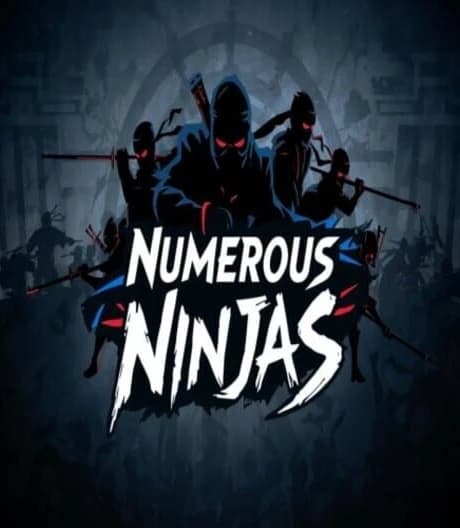 Numerous Ninjas