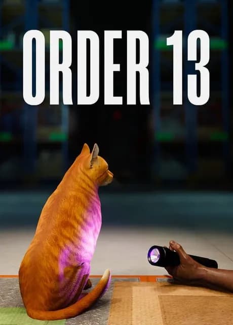 ORDER 13