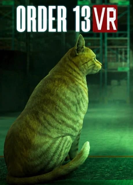 Order 13 VR
