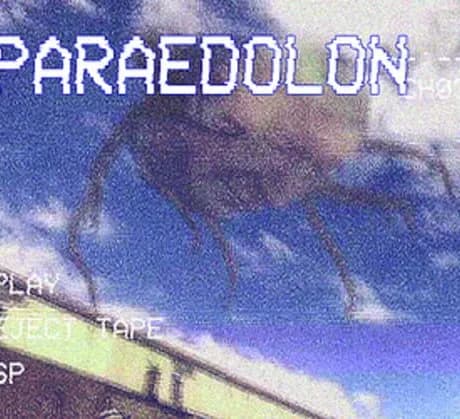 Paraedolon