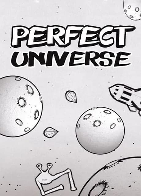 Perfect Universe