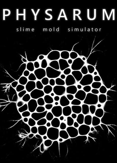 Physarum: Slime Mold Simulator
