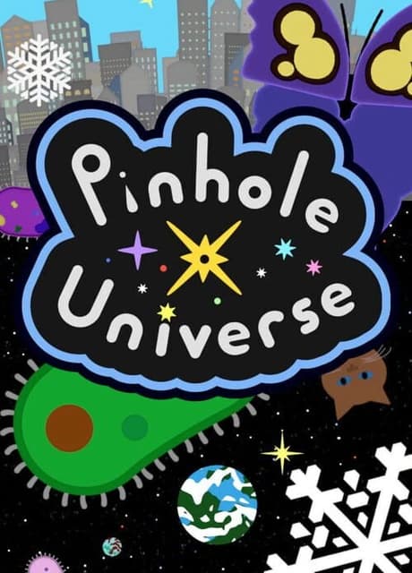 Pinhole Universe