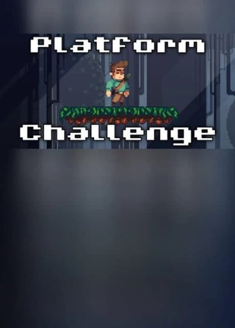 Platform Challenge