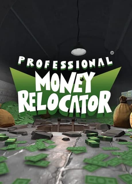 Professional Money Relocator