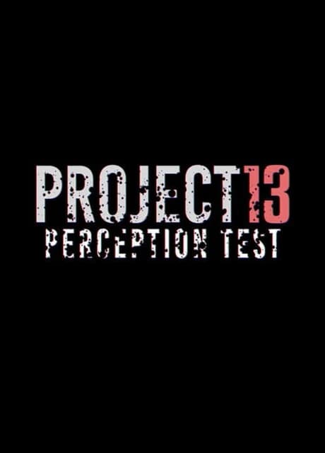 Project 13 Perception Test