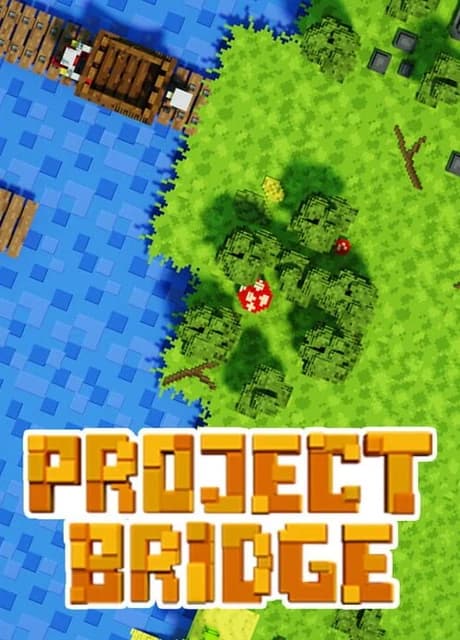 Project Bridge