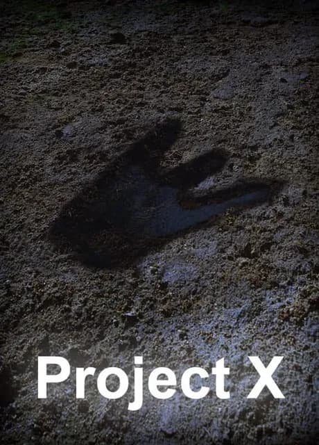 Project X