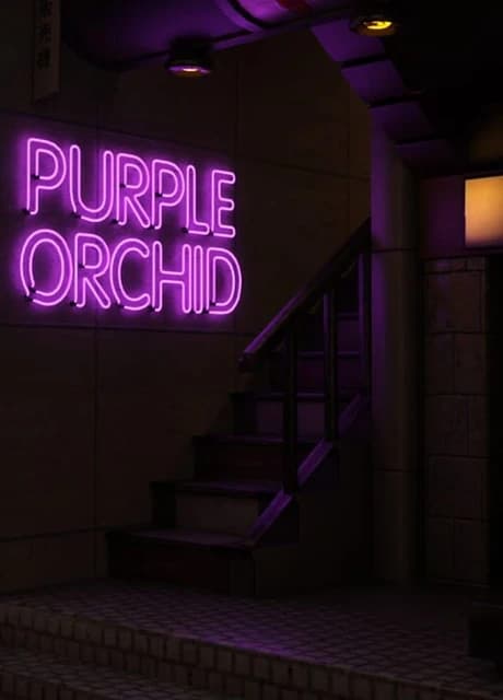Purple Orchid