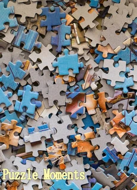 Puzzle Moments