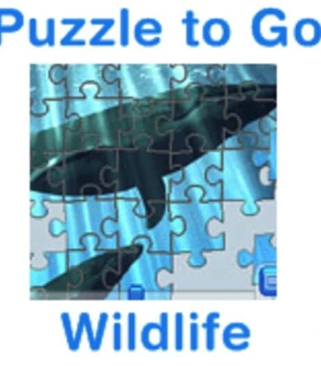 Puzzle to Go Wildlife