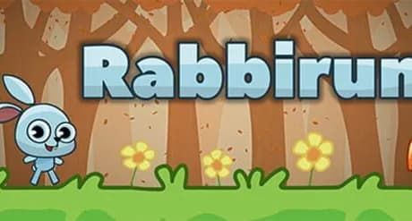 RabbiruN