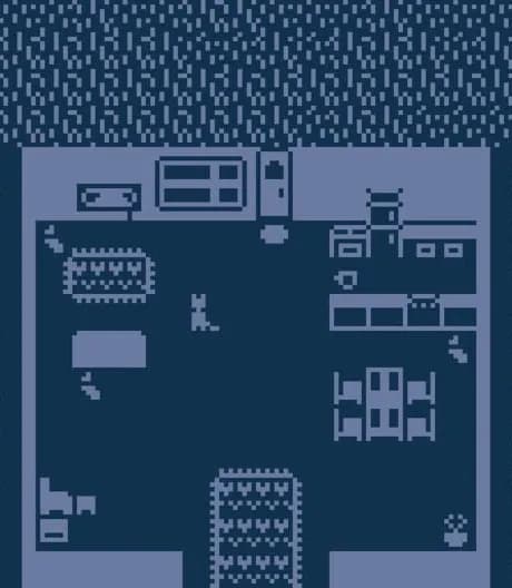 Rainy Day