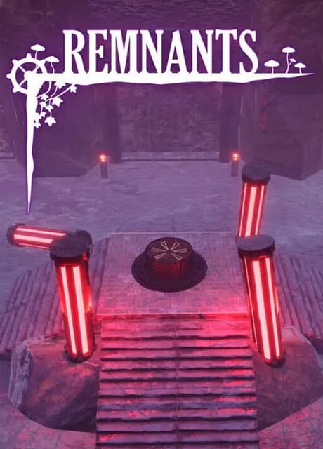 Remnants