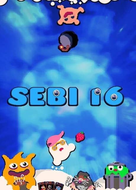 Sebi 16