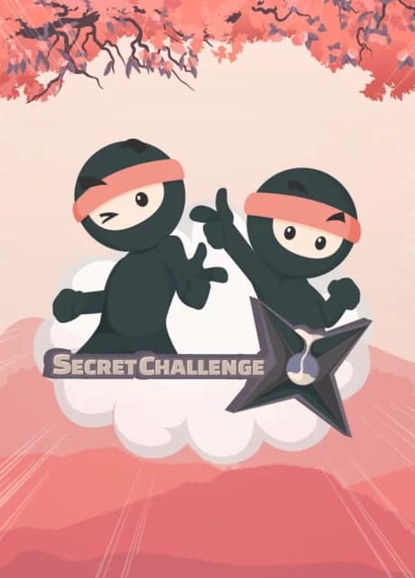 Secret Challenge