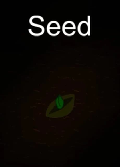 Seed