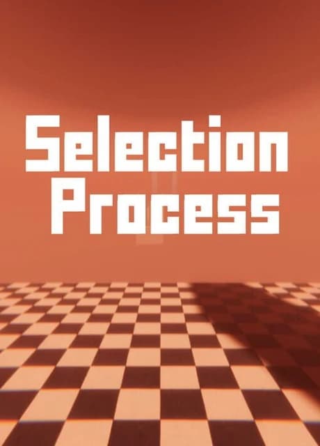 Selection Process