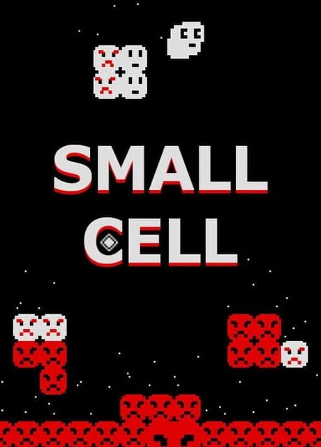 Small Cell