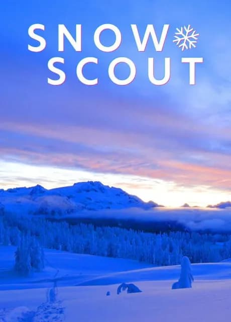 Snow Scout