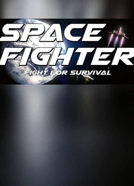 Space Fighter