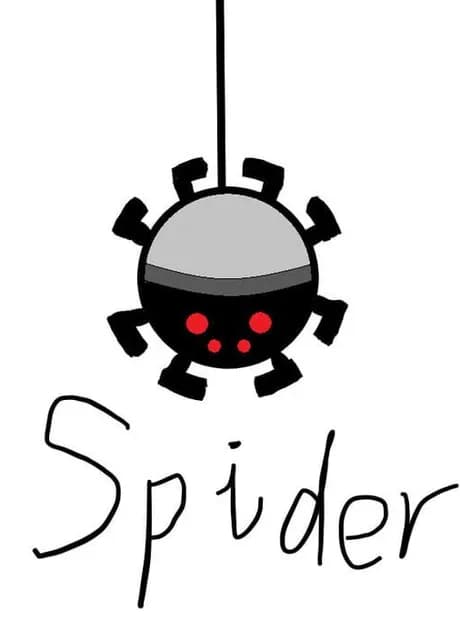 Spider