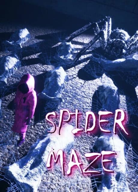 Spider Maze