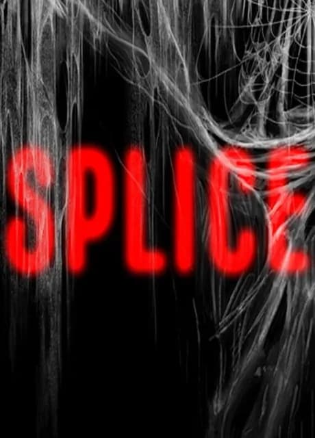 Splice