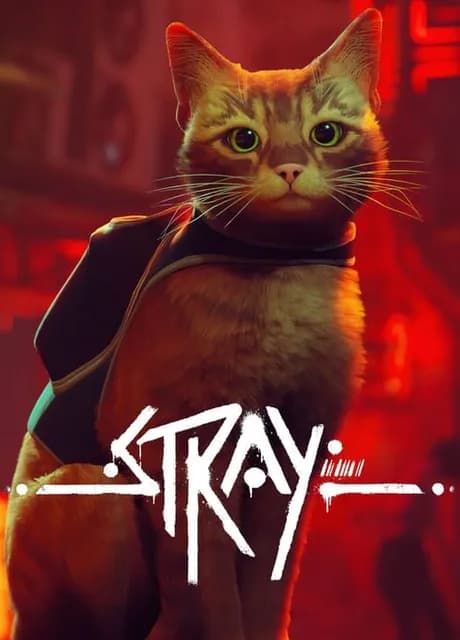 Stray