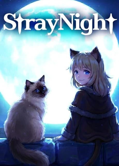 Stray Night