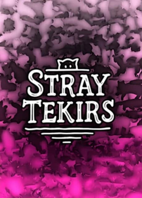 Stray Tekirs
