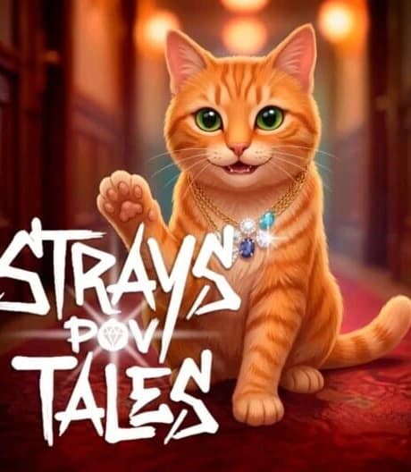 Strays POV Tales