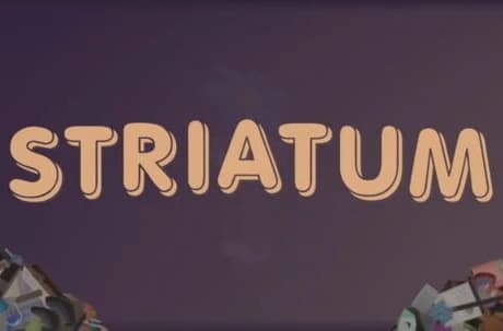 Striatum