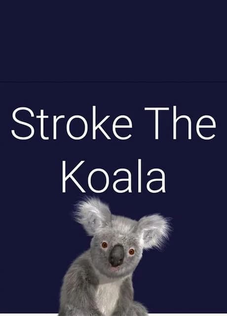Stroke the Koala