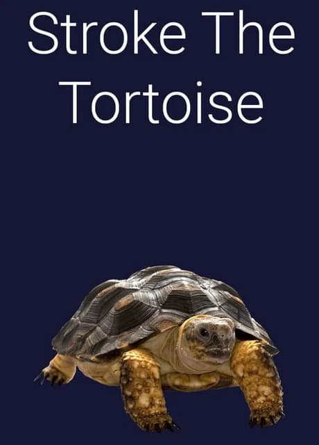 Stroke the Tortoise