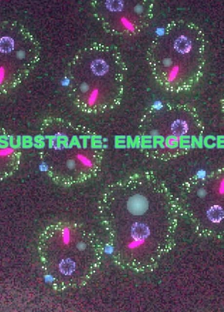 Substrate: Emergence