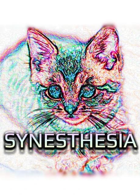 Synesthesia