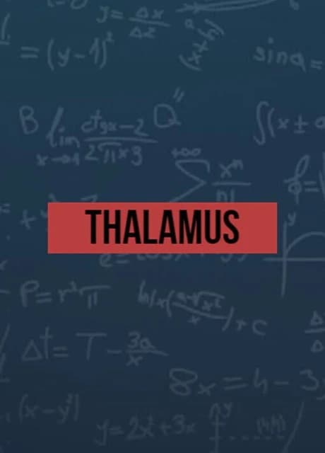 Thalamus