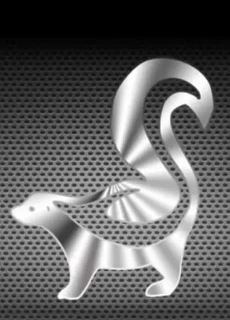 The First Skunk Bundle