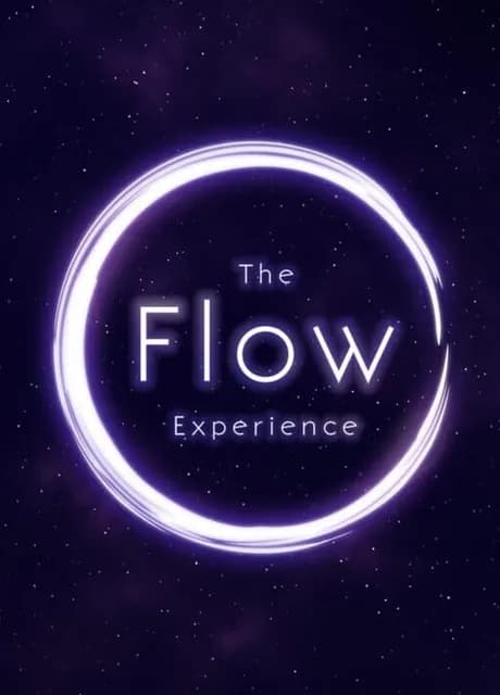 The Flow Experience